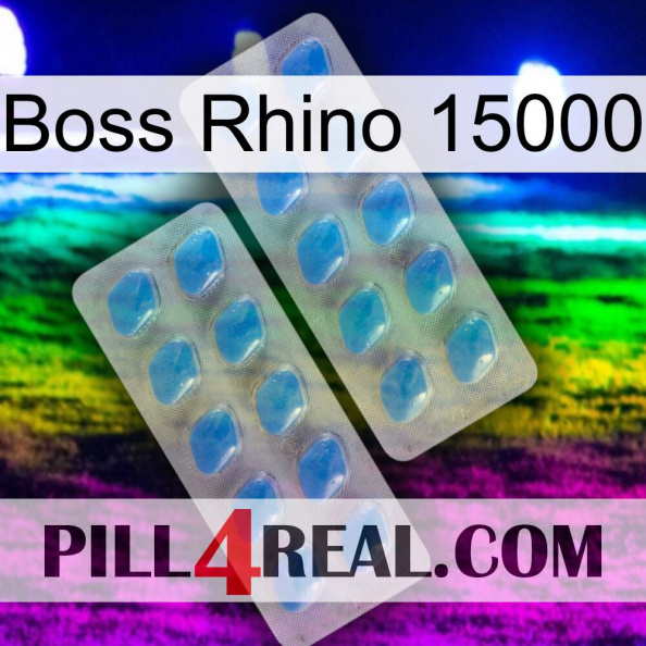 Boss Rhino 15000 23